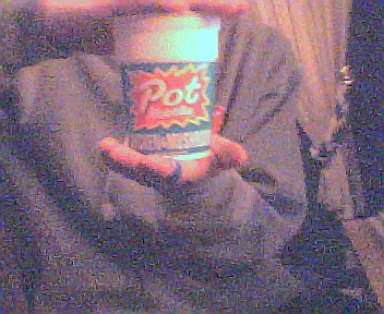 pot noodle